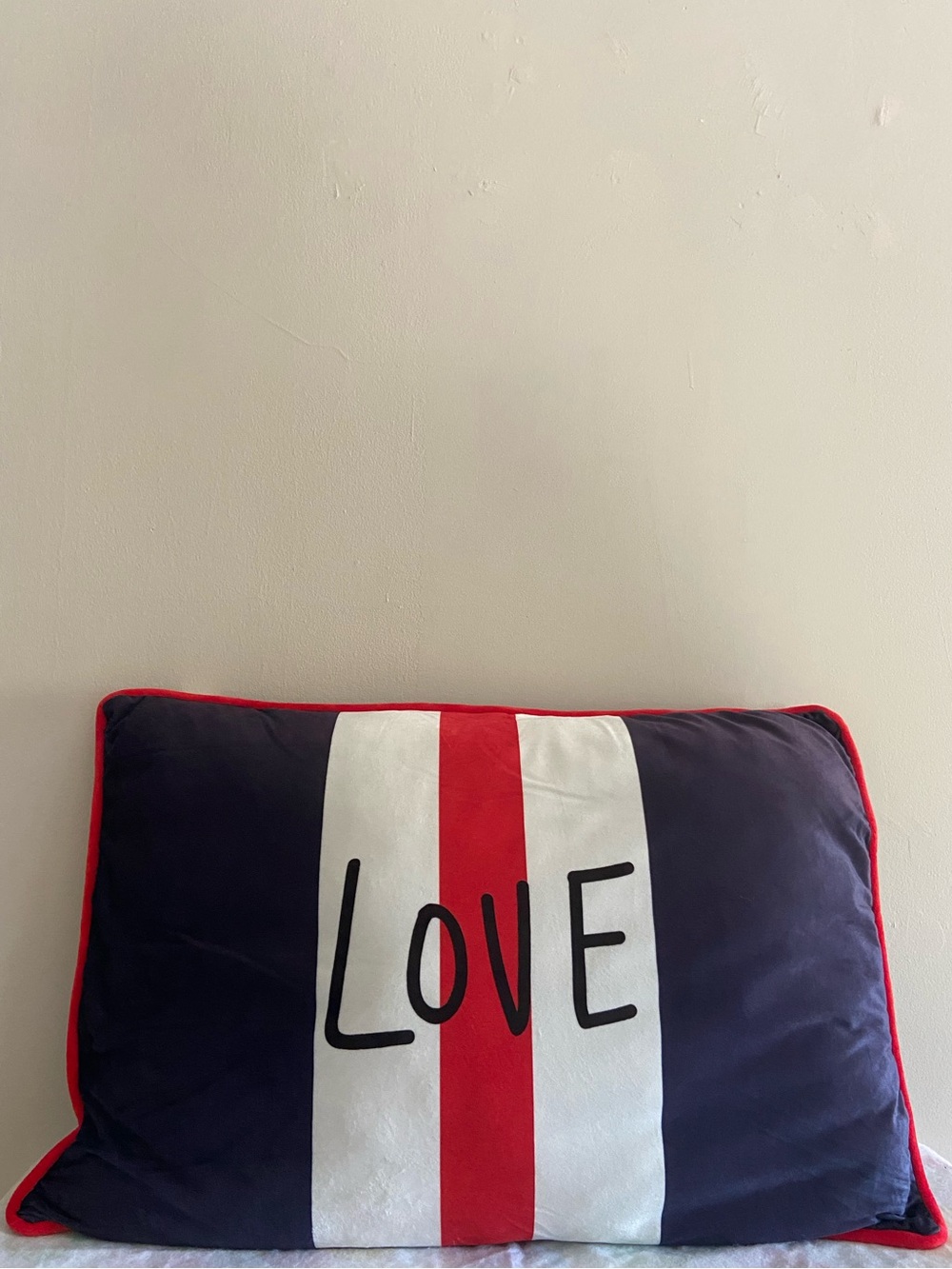 Ellen Degeneres LOVE Dog Pillow